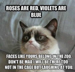 ... Roses are red violets are blue in Roses are red violets are blue funny