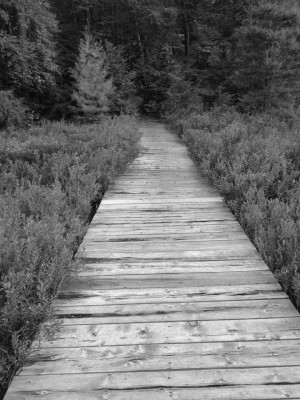 ... don’t need any other God. ” – Bruce Chatwin, In Patagonia