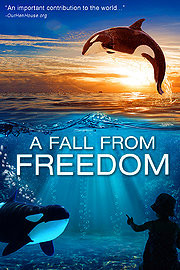 Fall From Freedom