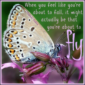 Butterfly Quotes Inspirational. QuotesGram