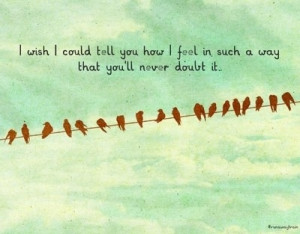 ... , feelings, i wish i could tell you, love, love you, never, quotes, s