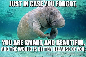 Found on calmingmanatee.tumblr.com