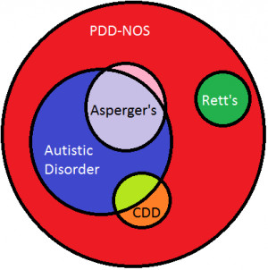 Diagnoses Pervasive Developmental Disorder-.Please Explain