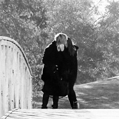 gif american horror story Evan Peters couple AHS taissa farmiga kyle ...