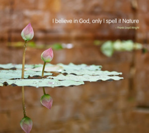 believe in God, only I spell it Nature.