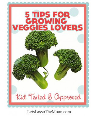 ... , Avocado, Green Peppers, Best Food, Casserole Recipes, Favorite Food