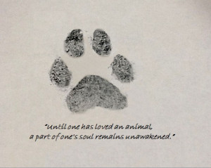 My Jackie's paw print and a quote