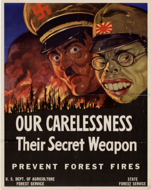 Agriculture Forest Service Forest Fire Prevention Poster; forest fire ...