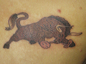 Pin New Bull Tattoo Designs