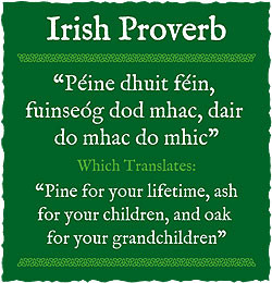 Irish Proverbs About Love Irish proverbs and sayings