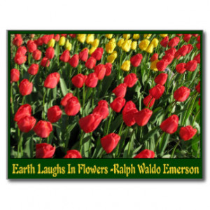 Tulips With Quotes And Sayings Postcards