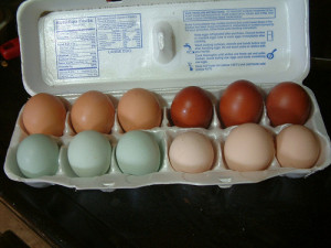 view original image )