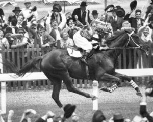 ... insurmountable odds to win 37 of 51 races. He was an exceptionally