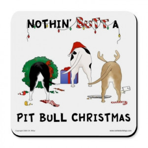 red nose pitbull on steroids , conan haibara american pitbull on ...