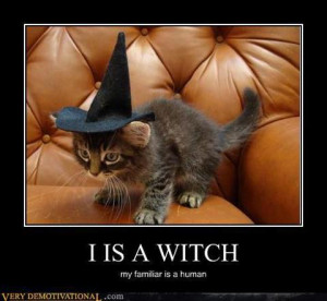 Cute little Halloween witch kitten