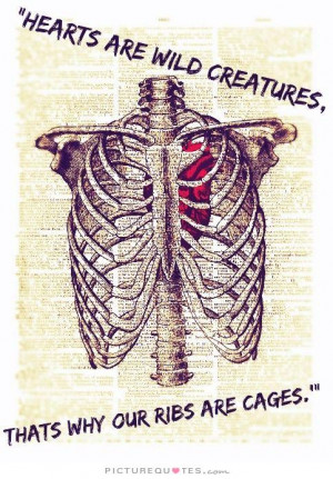Heart Quotes Wild Quotes