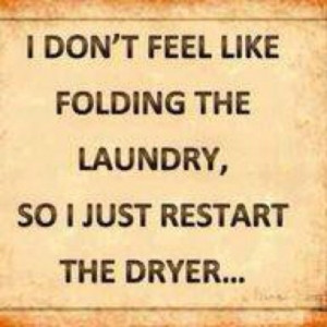 Thoughts, Laughing, Quotes, Laundry Rooms, Funny Stuff, So True, House ...