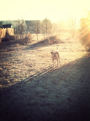 Famous Mexican Soccer Players