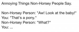 Horsey Quotes Via Tumblr Heart