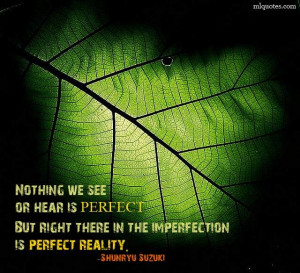 Shunryu Suzuki - Perfect Reality