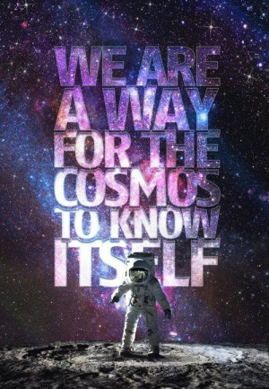 We are a way for the cosmos to know itself..