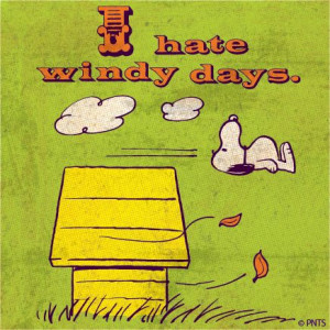 Wednesday afternoon with Snoopy.