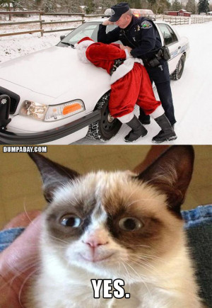 grumpy cat christmas, santa gets arrested, makes grumpy cat happy
