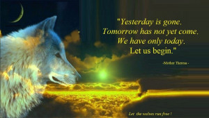 The Beauty of wolves Love. Lost.