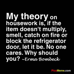 My theory on housework is