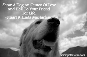 Show Your Dog A Love #dog #dogquotes