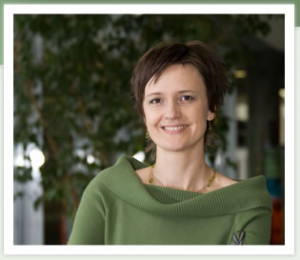 type auto insurance home insurance health insurance life insurance ...