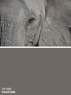 Gray Paint Colors, Bedroom Walls, Master Bedrooms, Couldn T Resistance ...