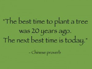 Quote_Chinese-Proverb_The-best-time-to-plant-a-tree-was-20-years-ago ...