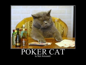pictures poker cat poker motivational poster funny poker poker