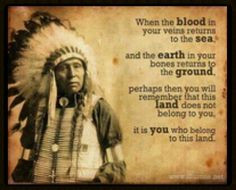 american # indian # wisdom # quote more native american quotes indian ...