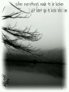 iris lyrics more iris