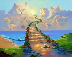 Cats -:Memory Quotes & pics - Rainbow Bridge