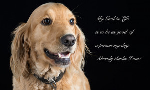 Dog portrait with quote