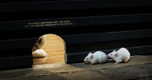 Quotes and Pieces of Advice | Random Stuff .