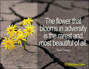 ... that blooms in adversity is the rarest and most beautiful of all