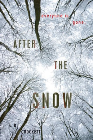 After the Snow Book Report