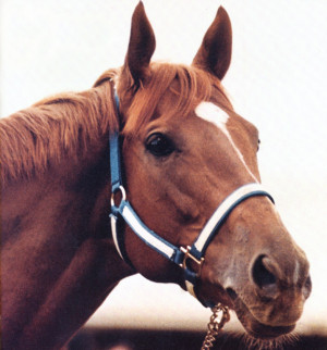 The film is scheduled to be released October 8, 2010.