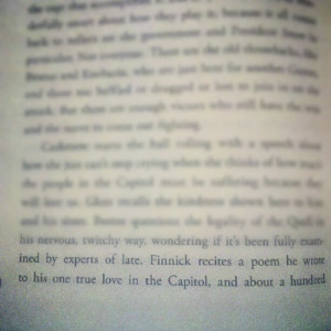 Important Quotes From The Book Catching Fire