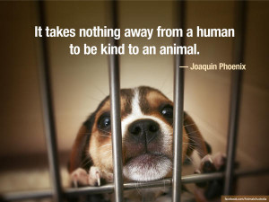 Animals Australia quote Joaquin