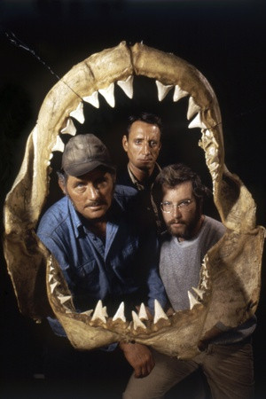 Jaws 1975 Directed by Steven Spielberg Robert Shaw, Roy Scheider and ...