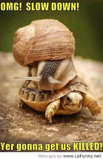 Hump Day Distractions - Slow Down!!