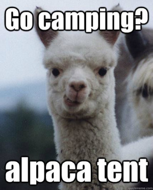 Go camping? alpaca tent