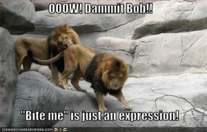 Funny Lions