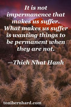 Thich Nhat Hanh understands that contentment is to be found by making ...