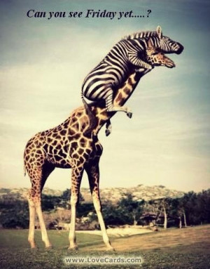 have a nice weekend!